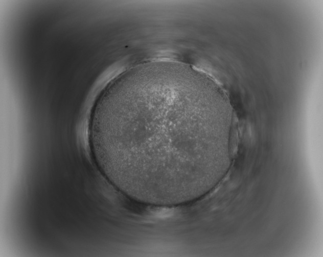 X0000099990293200805301418