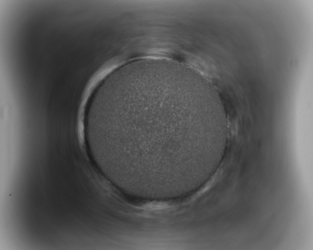 X0000099990294200805301418
