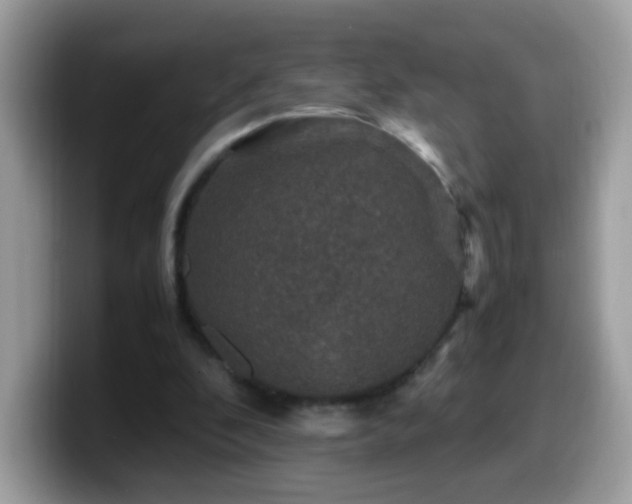 X0000099990296200805301418
