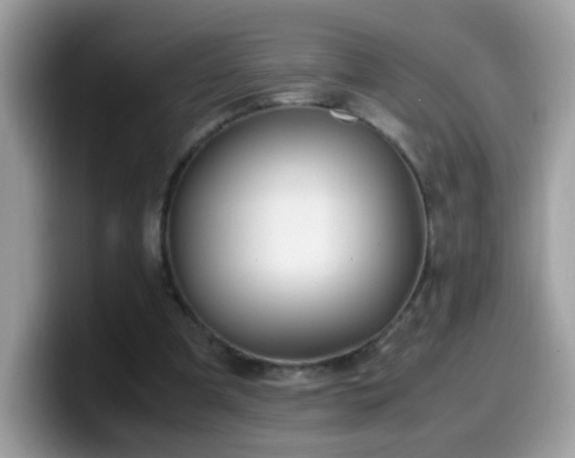 X0000099990297200805301418