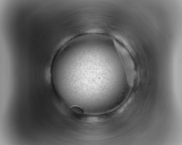 X0000099990298200805301418