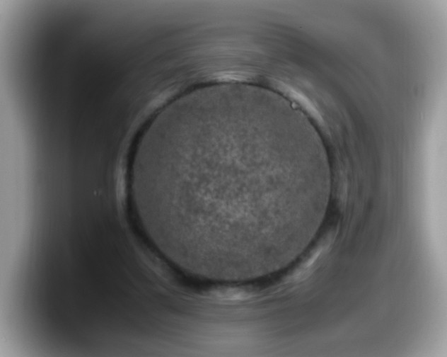 X0000099990299200805301418