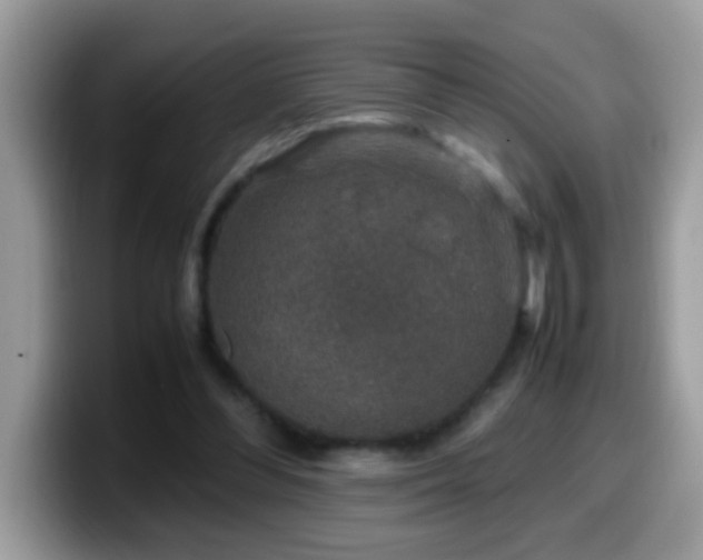 X0000099990300200805301418