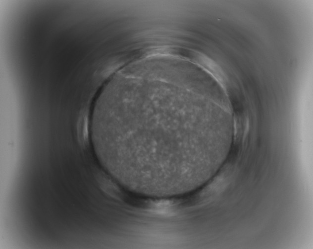 X0000099990301200805301418