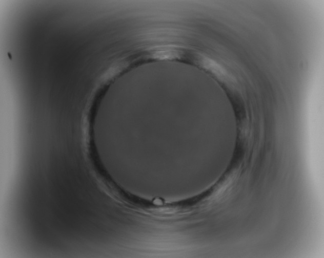 X0000099990303200805301418
