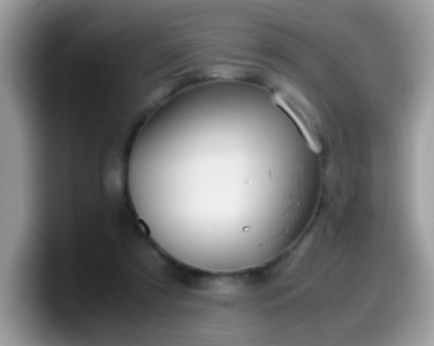 X0000099990305200805301418