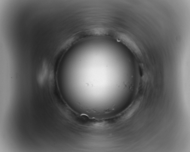 X0000099990306200805301418