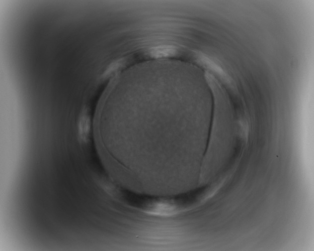 X0000099990308200805301418