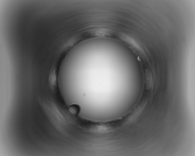 X0000099990310200805301418