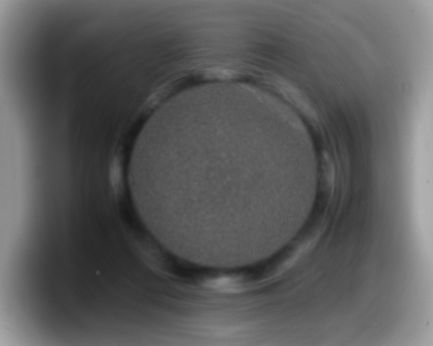 X0000099990312200805301418