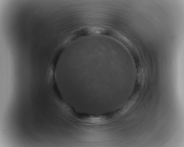 X0000099990314200805301418