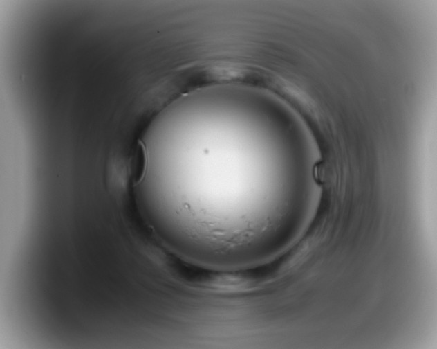 X0000099990315200805301418