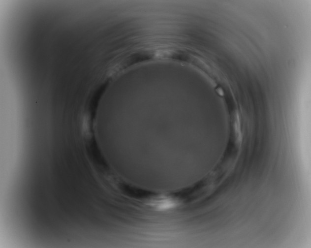 X0000099990316200805301418