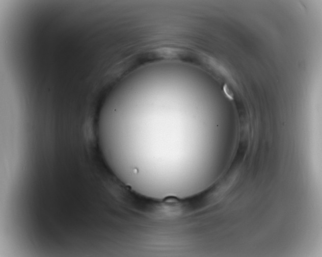 X0000099990317200805301418