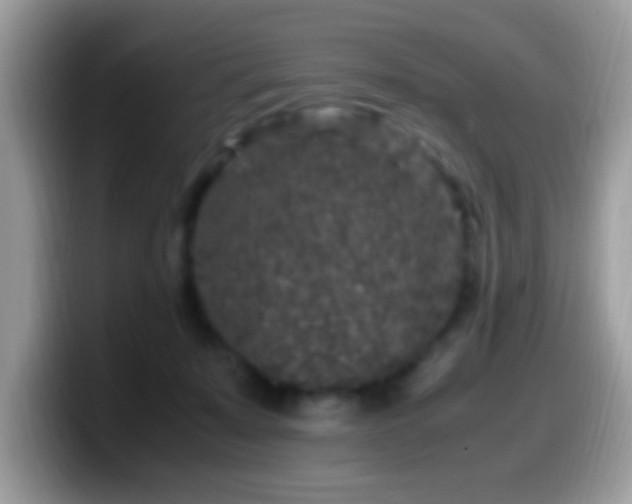 X0000099990319200805301418