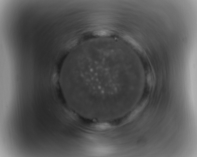 X0000099990322200805301418