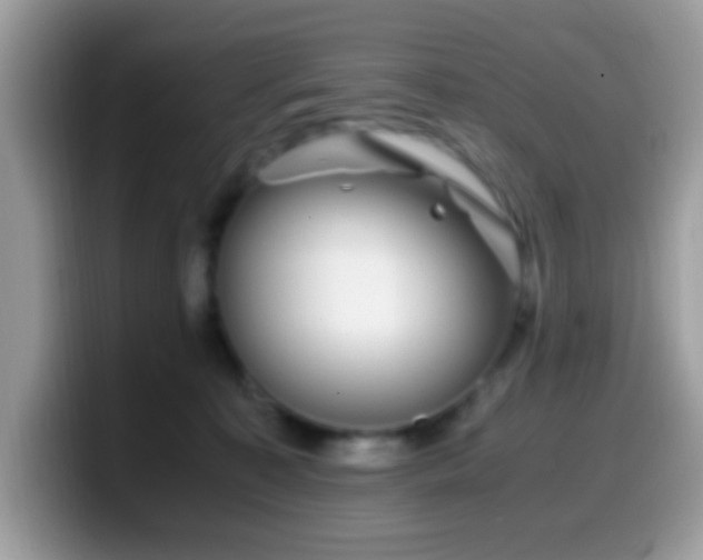 X0000099990323200805301418