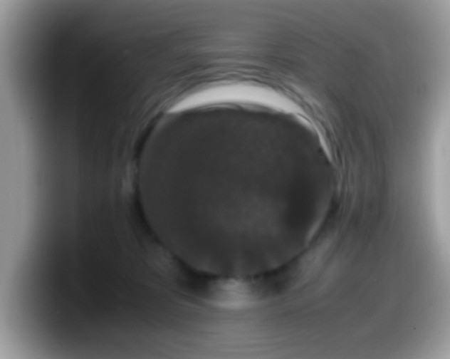 X0000099990325200805301418