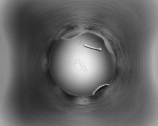 X0000099990327200805301418