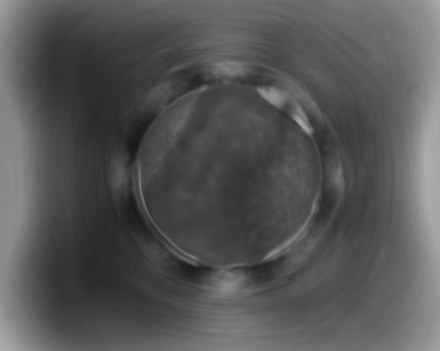 X0000099990328200805301418