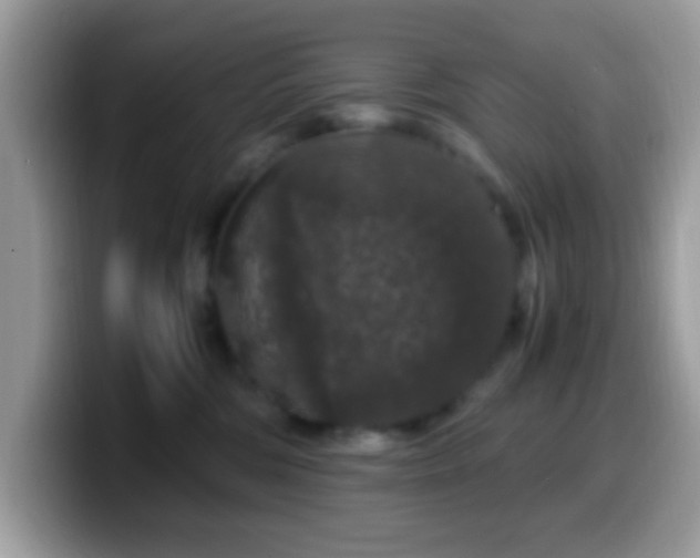 X0000099990330200805301418