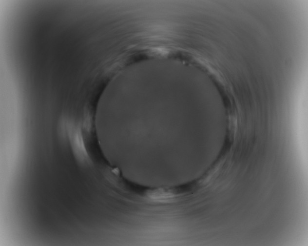 X0000099990331200805301418