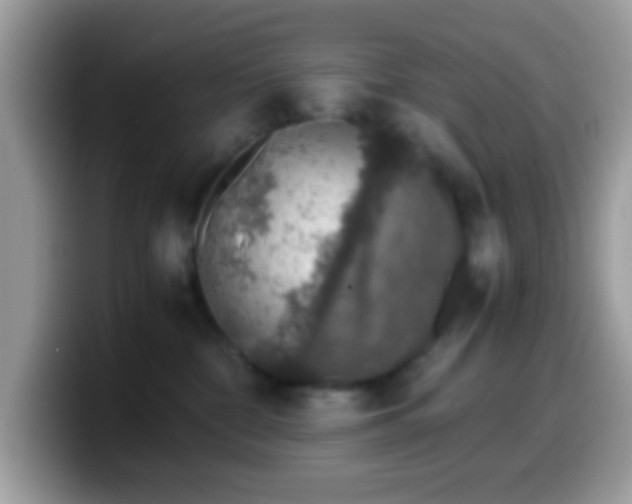 X0000099990332200805301418