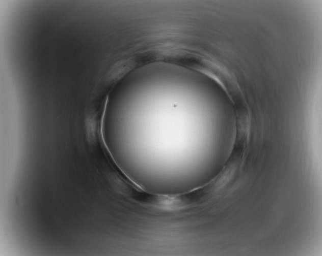 X0000099990333200805301418