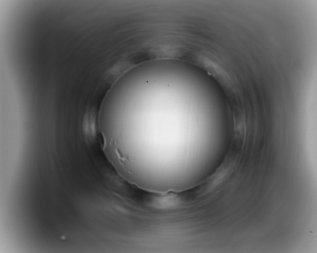 X0000099990334200805301418