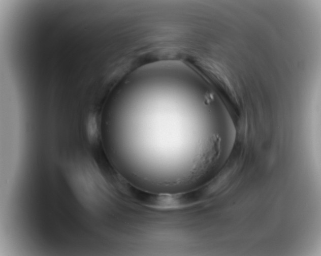 X0000099990335200805301418