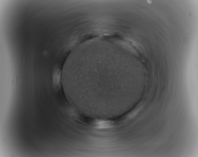 X0000099990336200805301418