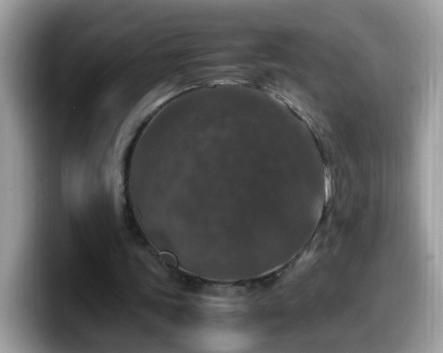 X0000099990339200805301417
