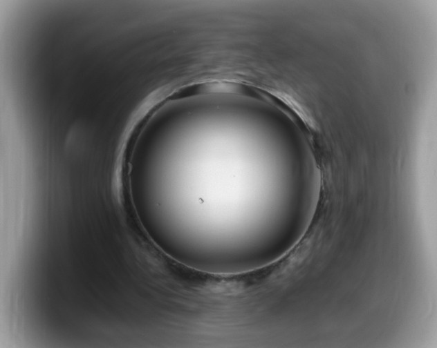 X0000099990340200805301417