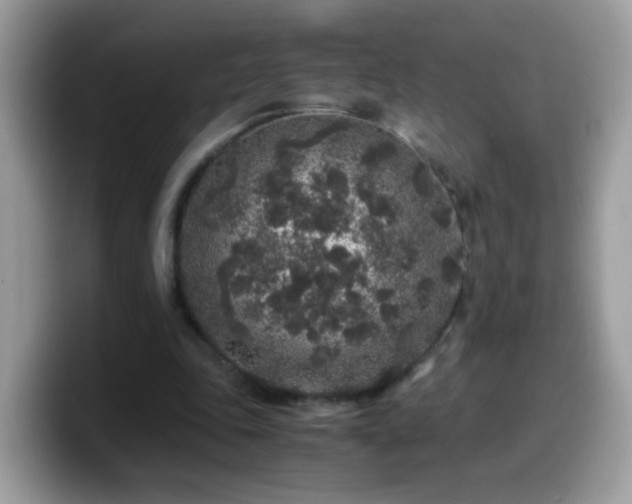 X0000099990343200805301417