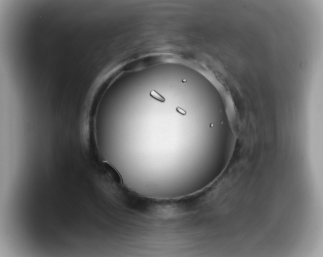 X0000099990344200805301417