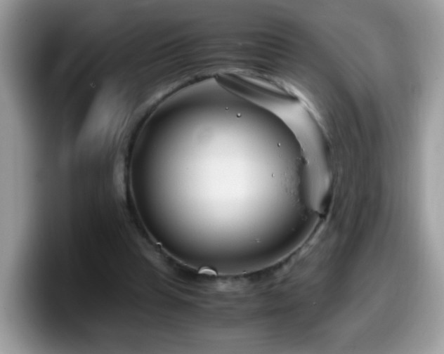 X0000099990345200805301417