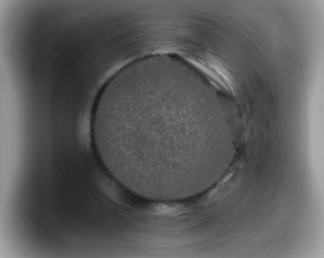 X0000099990346200805301417