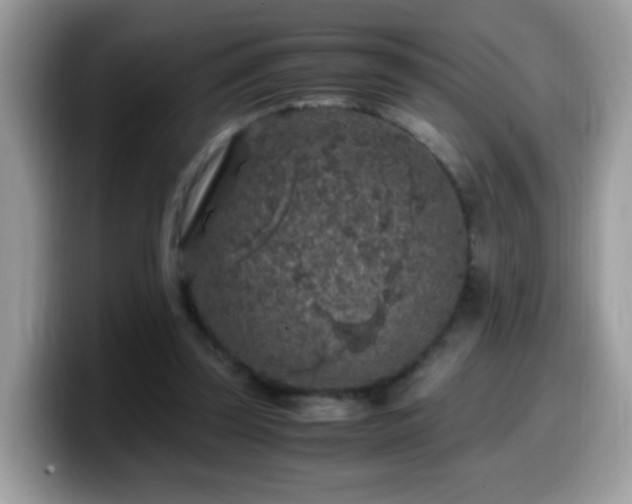 X0000099990347200805301417