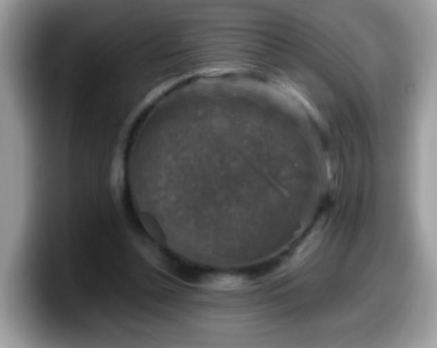 X0000099990348200805301417