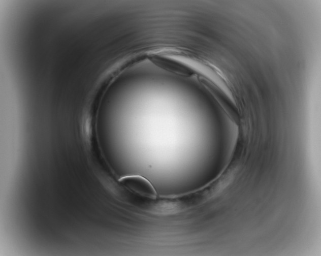 X0000099990350200805301417