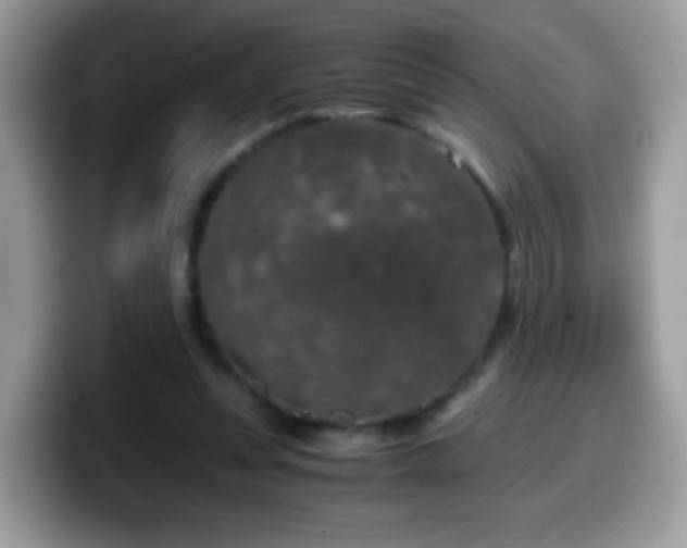 X0000099990351200805301417