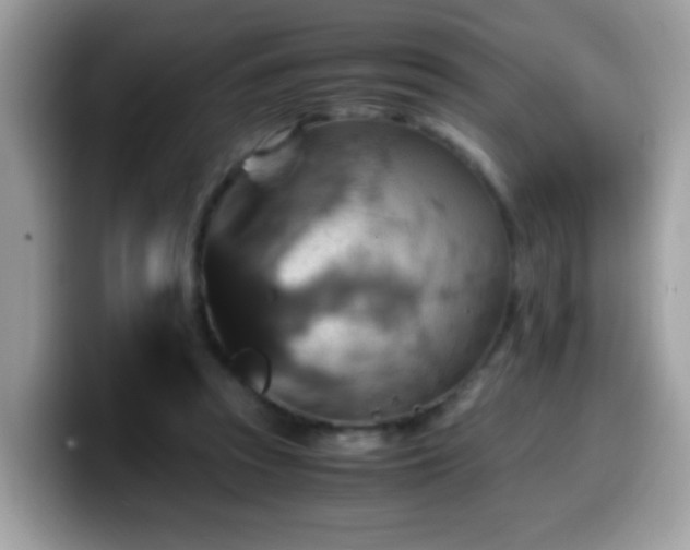 X0000099990353200805301417