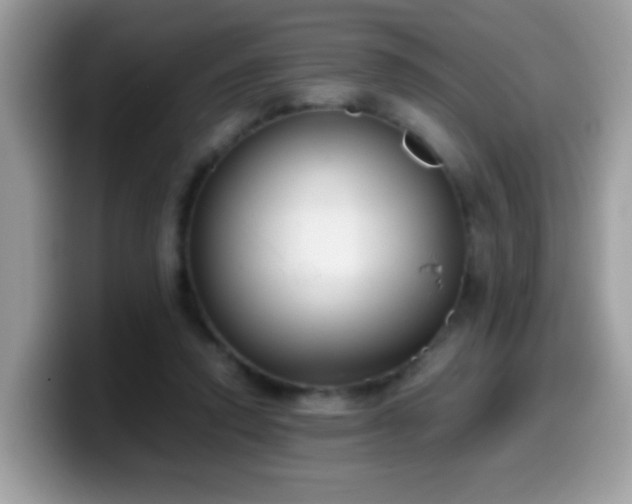 X0000099990354200805301417