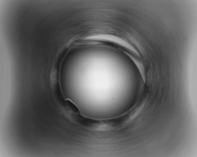 X0000099990356200805301417