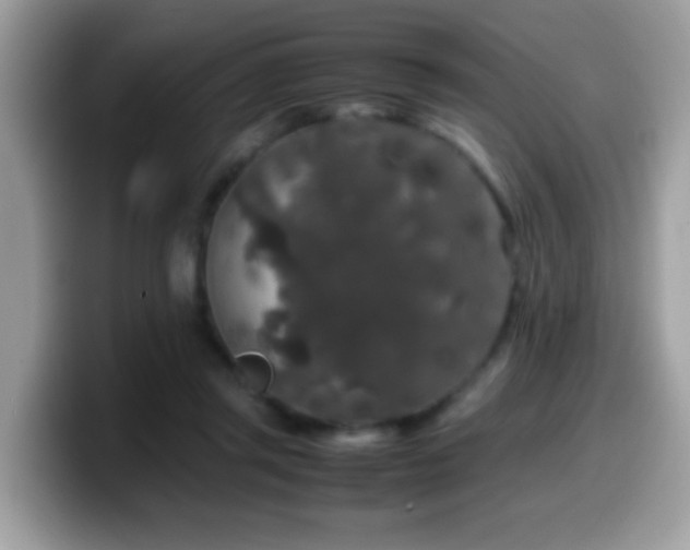 X0000099990357200805301418