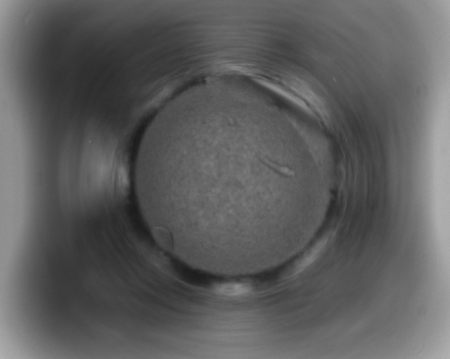 X0000099990358200805301418