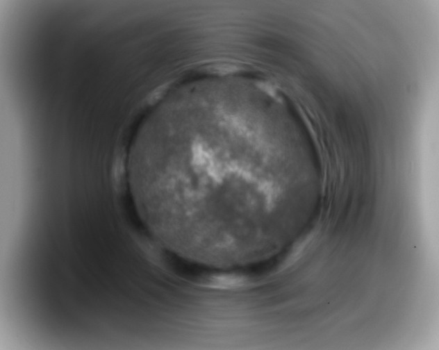 X0000099990360200805301418