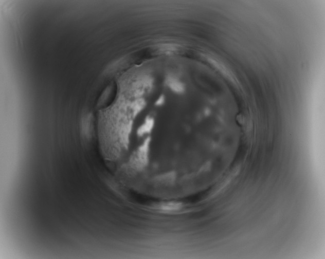 X0000099990361200805301418