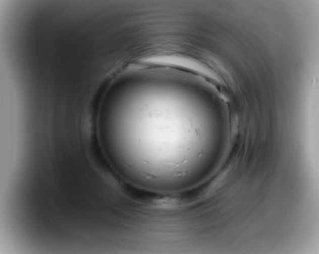 X0000099990362200805301418