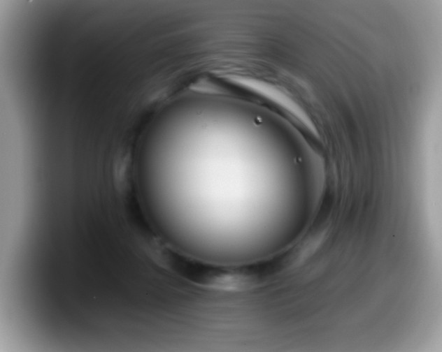 X0000099990364200805301418